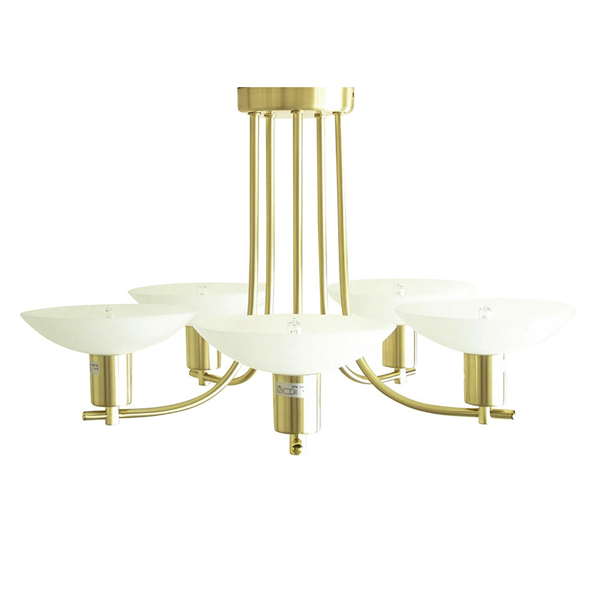 IL20562  Pini 5 Light G9 Pendant